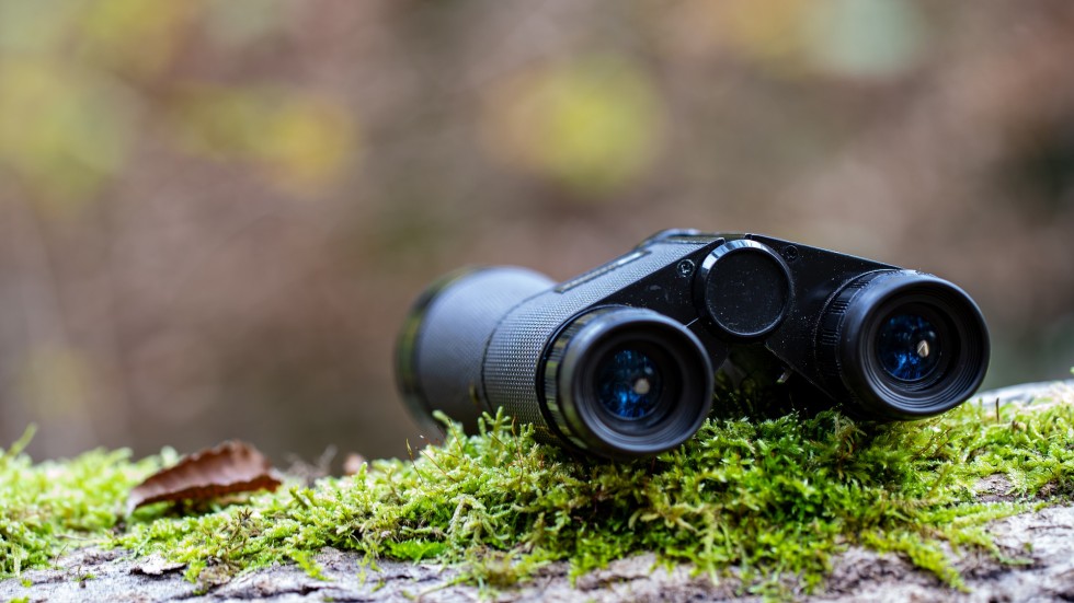 binoculars-